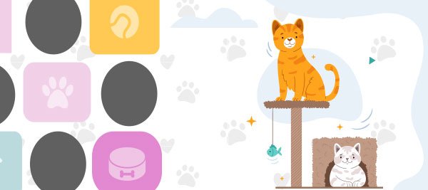 Animal Collection Animal Collection